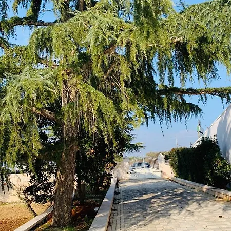 Villa Trullo Labellavita *